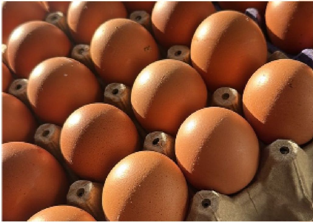 Huevos
